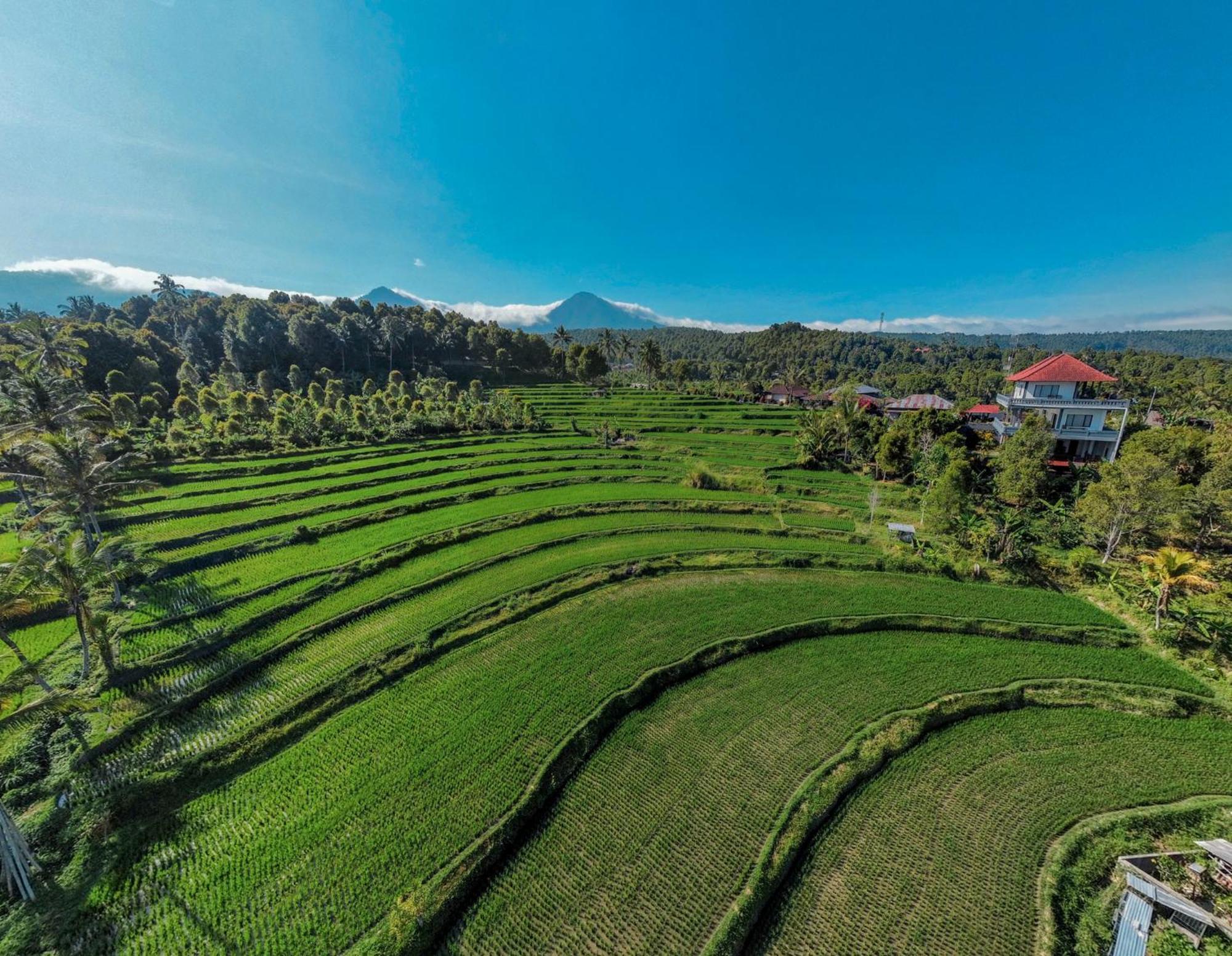 Candra Cottage Munduk Εξωτερικό φωτογραφία